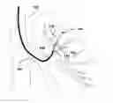 Fig. 01 - Method for navigating a robotic surgical catheter