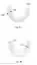 Fig. 05 - Dental prostheses