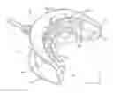 Fig. 01 - TEETH WHITENING SYSTEM APPARATUS AND METHOD