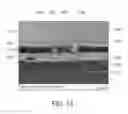 Fig. 07 - Cell encapsulation devices containing structural spacers