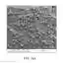 Fig. 09 - Cell encapsulation devices containing structural spacers