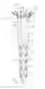 Fig. 01 - Temporary diameter reduction constraint arrangement for a stent graft in combination with a stent graft