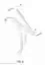Fig. 09 - Transcatheter valve prosthesis