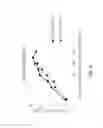 Fig. 05 - Devices and methods for anchoring a sheath in a tissue cavity