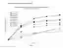 Fig. 02 - Transdermal compositions of ibuprofen and methods of use thereof