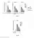 Fig. 02 - Cancer treatment method using ailanthone compounds