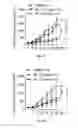 Fig. 06 - Cancer treatment method using ailanthone compounds