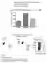 Fig. 14 - Inhibitors of short-chain dehydrogenase activity for modulating hematopoietic stem cells and hematopoiesis