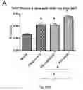 Fig. 27 - Inhibitors of short-chain dehydrogenase activity for modulating hematopoietic stem cells and hematopoiesis