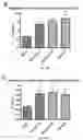 Fig. 35 - Inhibitors of short-chain dehydrogenase activity for modulating hematopoietic stem cells and hematopoiesis