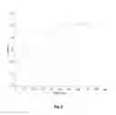 Fig. 04 - Dosage and Use of an A2A Antagonist