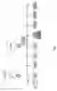 Fig. 03 - Compositions and methods for treatment related to fall and fall frequency in neurodegenerative diseases