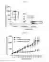 Fig. 10 - Treatment of relapsed and/or refractory solid tumors and non-hodgkin's lymphomas