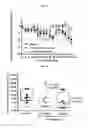 Fig. 11 - Treatment of relapsed and/or refractory solid tumors and non-hodgkin's lymphomas