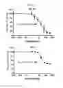 Fig. 13 - Treatment of relapsed and/or refractory solid tumors and non-hodgkin's lymphomas