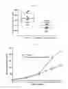 Fig. 14 - Treatment of relapsed and/or refractory solid tumors and non-hodgkin's lymphomas