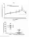 Fig. 15 - Treatment of relapsed and/or refractory solid tumors and non-hodgkin's lymphomas