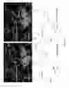 Fig. 13 - PREPARATION AND METHODS OF USE FOR ORTHO-ARYL 5-MEMBERED HETEROARYL-CARBOXAMIDE CONTAINING MULTI-TARGETED KINASE INHIBITORS