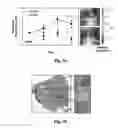 Fig. 09 - Compositions and methods for treatment of glioma