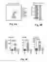Fig. 12 - Compositions and methods for treatment of glioma