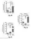 Fig. 13 - Compositions and methods for treatment of glioma