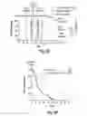 Fig. 19 - Compositions and methods for treatment of glioma
