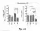 Fig. 40 - Compositions and methods for treatment of glioma