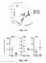 Fig. 44 - Compositions and methods for treatment of glioma