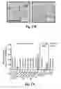 Fig. 56 - Compositions and methods for treatment of glioma