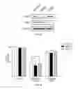 Fig. 09 - Method for screening regulator of mitochondrial fission