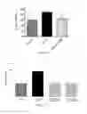Fig. 28 - COMPOSITIONS FOR TREATING NEUROLOGICAL DISORDERS