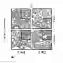 Fig. 04 - Compositions and methods to accelerate resolution of acute lung inflammation