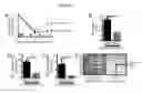 Fig. 13 - Compositions and methods to accelerate resolution of acute lung inflammation