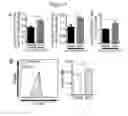 Fig. 23 - Compositions and methods to accelerate resolution of acute lung inflammation