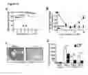 Fig. 24 - Compositions and methods to accelerate resolution of acute lung inflammation