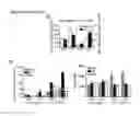 Fig. 30 - Compositions and methods to accelerate resolution of acute lung inflammation