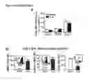 Fig. 31 - Compositions and methods to accelerate resolution of acute lung inflammation