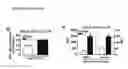 Fig. 37 - Compositions and methods to accelerate resolution of acute lung inflammation