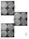 Fig. 06 - Compositions and methods for treating diseases or disorders using extended release nitric oxide releasing solutions