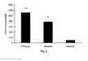 Fig. 07 - Decellularized Adipose Cell Growth Scaffold