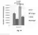 Fig. 12 - Decellularized Adipose Cell Growth Scaffold