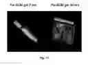 Fig. 13 - Decellularized Adipose Cell Growth Scaffold