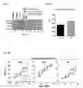 Fig. 02 - Probiotic compositions for improving metabolism and immunity