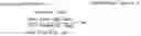 Fig. 05 - Method for treating neuroinflammation with a pharmaceutical composition containing hook. extract or fraction thereof as active ingredient