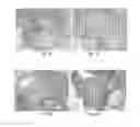 Fig. 13 - METHODS AND COMPOSITIONS FOR BONE AND CARTILAGE REPAIR