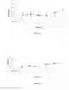 Fig. 12 - Methods of treating or preventing viral infection by using plant extracts