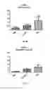Fig. 07 - Method for enhancing effect of immunotherapy for cancer