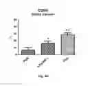 Fig. 08 - Method for enhancing effect of immunotherapy for cancer