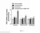 Fig. 04 - Compositions and methods of use for (pro)renin receptor antagonists