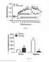 Fig. 08 - Compositions and methods of use for (pro)renin receptor antagonists